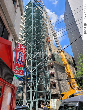 弾道項 クローバー 87746559