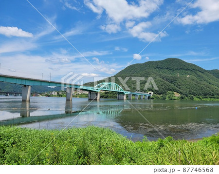 弾道項 クローバー 87746568