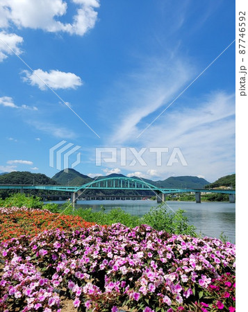 弾道項 クローバー 87746592