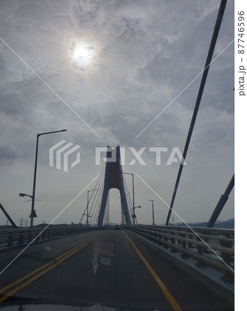 弾道項 クローバー 87746596