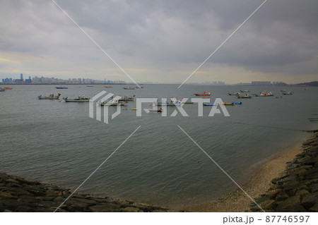 弾道項 クローバー 87746597