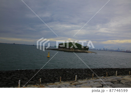 弾道項 クローバー 87746599