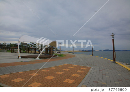 弾道項 クローバー 87746600