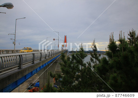 弾道項 クローバー 87746609