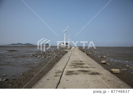 弾道項 クローバー 87746637