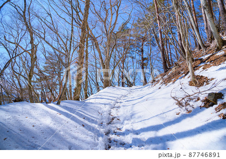 (山梨県)御坂黒岳・雪山の登山道 (山梨県)御坂黒岳・雪山の登山道 87746891