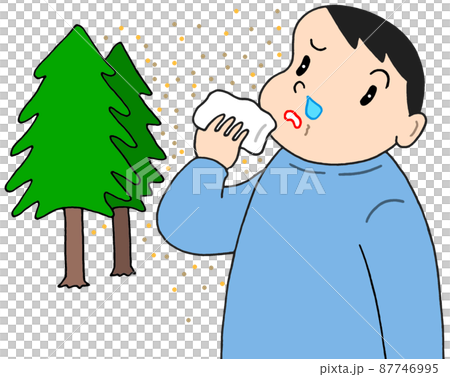 スギ花粉症・花粉アレルギー 87746995