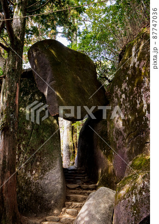 弁慶七戻り 弁慶七戻り 87747036