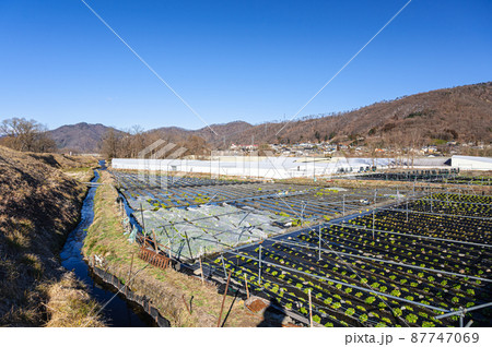 御宝田のわさび畑 安曇野市 御宝田のわさび畑 安曇野市 87747069