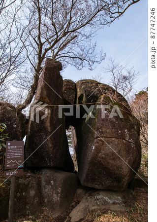 出船入船 87747246