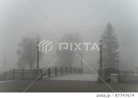「朝霧の街」 珍しく霧が立ち込めたわが街を撮影した 三郷中央 「朝霧の街」 珍しく霧が立ち込めたわが街を撮影した 三郷中央 87747674