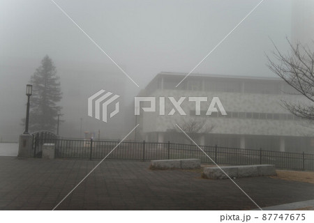 「朝霧の街」 珍しく霧が立ち込めたわが街を撮影した 三郷中央 「朝霧の街」 珍しく霧が立ち込めたわが街を撮影した 三郷中央 87747675