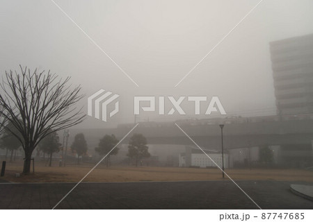 「朝霧の街」 珍しく霧が立ち込めたわが街を撮影した 三郷中央 「朝霧の街」 珍しく霧が立ち込めたわが街を撮影した 三郷中央 87747685