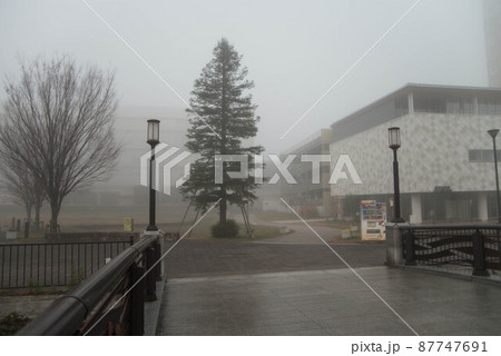 「朝霧の街」 珍しく霧が立ち込めたわが街を撮影した 三郷中央 「朝霧の街」 珍しく霧が立ち込めたわが街を撮影した 三郷中央 87747691