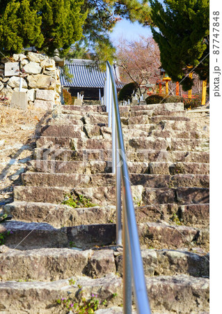 【瀬戸内三十三観音霊場】第十一番 明王寺の冬の参道7 岡山県岡山市東区 【瀬戸内三十三観音霊場】第十一番 明王寺の冬の参道7 岡山県岡山市東区 87747848