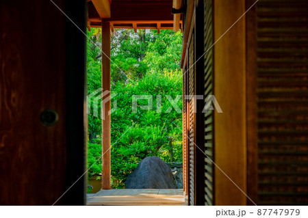 京都府京田辺市の一休寺の新緑を撮影 87747979