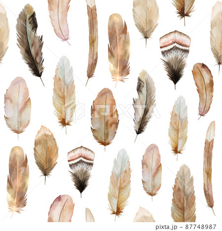 Watercolor seamless pattern made of brown and beige feathers, Bohemian element illustration isolated 87748987