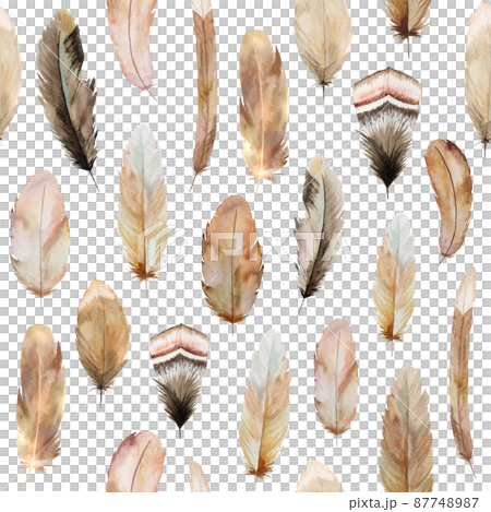 Watercolor seamless pattern made of brown and beige feathers, Bohemian element illustration isolated 87748987
