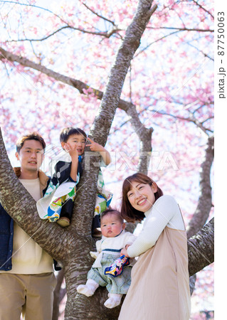 家族写真　花見 87750063