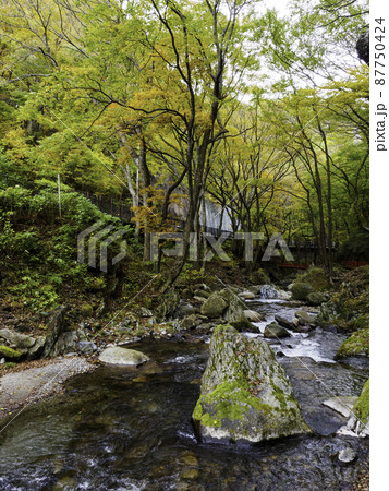初秋を迎えた山を縦構図で撮影 初秋を迎えた山を縦構図で撮影 87750424