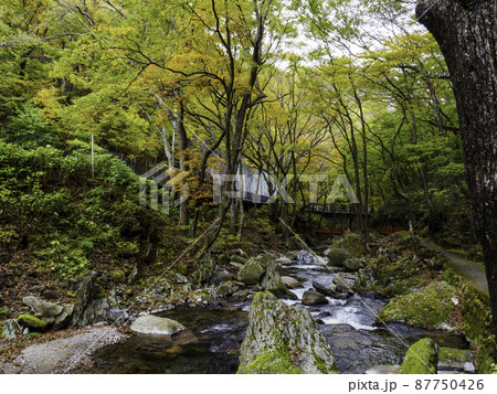 初秋のグラデーション 初秋のグラデーション 87750426