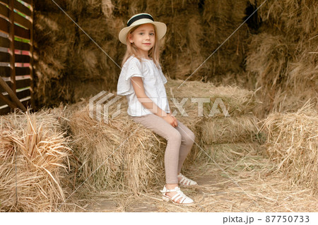 Smiling little girl sitting on haystack in hayloft on summer day 87750733