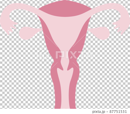 Womb illustration Womb illustration 87751531