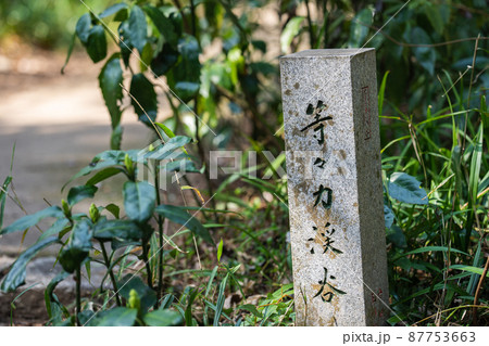 等々力渓谷 87753663