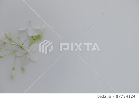 Delicate white flowers in a therapeutic milk bath to show concept of  sustainable comfort and tranquility of the Springtime 87754124