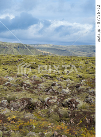 Scenic autumn green lava fields near Fjadrargljufur Canyon in Iceland. Green moss on volcanic lava stones. Unique lava fields growth after Laki volcano eruption. Scenic autumn green lava fields near Fjadrargljufur Canyon in Iceland. Green moss on volcanic lava stones. Unique lava fields growth after Laki volcano eruption. 87756752