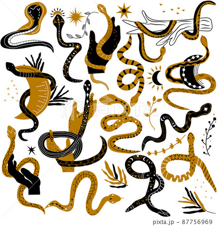 Mystical boho snake. Set black and gold of snake, Leaves, Flowers, Snake wrapped around hand and moon. Witchcraft and Wild west. Mysterious snakes. vector illustration 87756969
