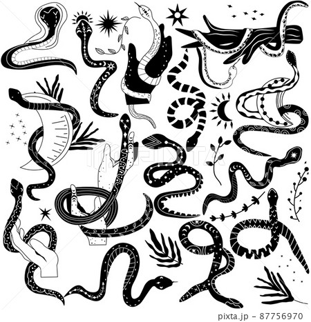 Mystical boho snake. Set black and white of snake, Leaves, Flowers, Snake wrapped around hand and moon. Witchcraft and Wild west. Mysterious snakes. vector illustration 87756970