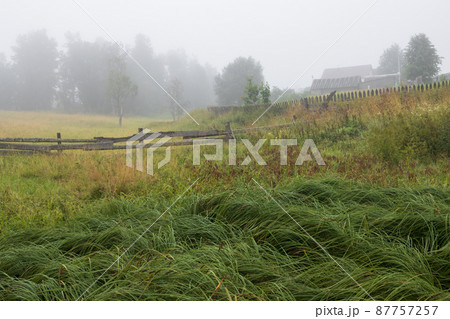 Foggy morning in the countryside 87757257