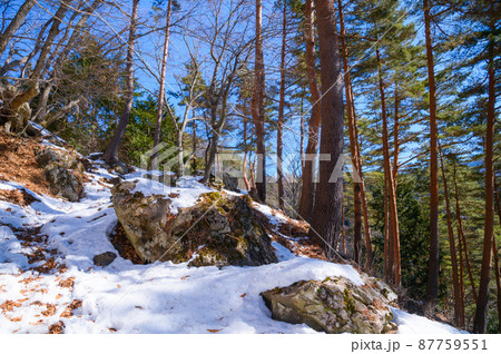 （山梨県）御坂黒岳・快晴の空と雪山登山道 87759551