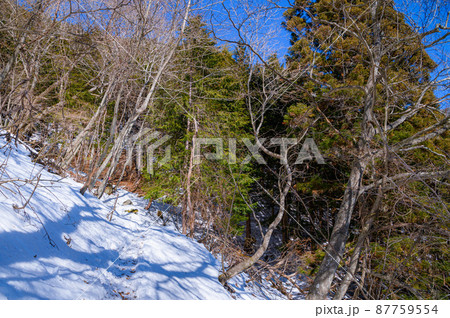 (山梨県)御坂黒岳・快晴の空と雪山登山道 (山梨県)御坂黒岳・快晴の空と雪山登山道 87759554