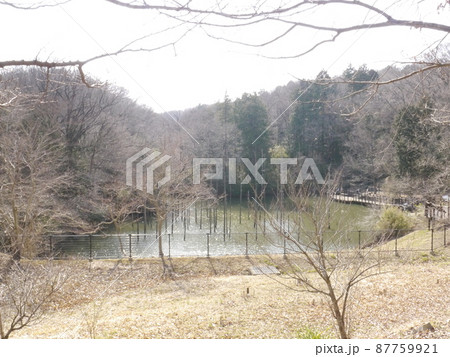 小山内裏公園 87759921