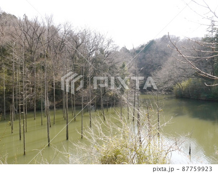 小山内裏公園 小山内裏公園 87759923