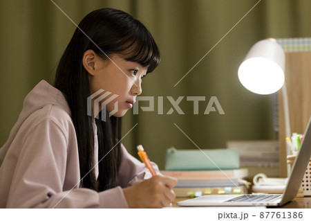 パソコンを見ながら勉強をする女の子 パソコンを見ながら勉強をする女の子 87761386