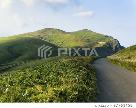 北海道 礼文島 「岬めぐりコース」 / Rebun Island, Hokkaido 87761459