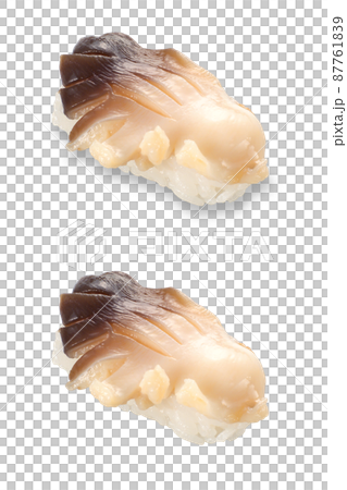 寿司 ホッキ貝 影アリ 影ナシ 寿司 ホッキ貝 影アリ 影ナシ 87761839