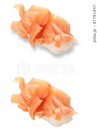 寿司　活赤貝　影アリ　影ナシ 87761847