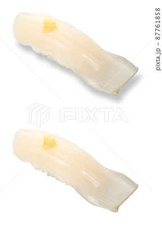 寿司　近海真イカ　影アリ　影ナシ 87761858