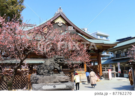 湯島天満宮のうめと狛犬 梅まつり ゆしまてんまんぐう 湯島神社 通称湯島天神 東京都文京区湯島 湯島天満宮のうめと狛犬 梅まつり ゆしまてんまんぐう 湯島神社 通称湯島天神 東京都文京区湯島 87762270