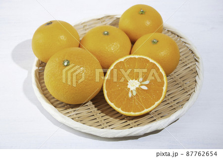 清見オレンジ(愛媛県産):酸味と甘みが絶妙のジューシーな日本のみかんの品種、食べごろは2~4月 清見オレンジ(愛媛県産):酸味と甘みが絶妙のジューシーな日本のみかんの品種、食べごろは2~4月 87762654