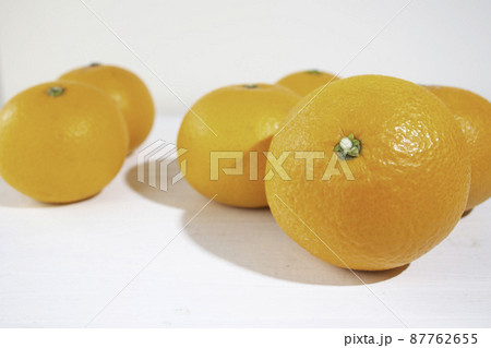 清見オレンジ（愛媛県産）：酸味と甘みが絶妙のジューシーな日本のみかんの品種、食べごろは2～4月 87762655