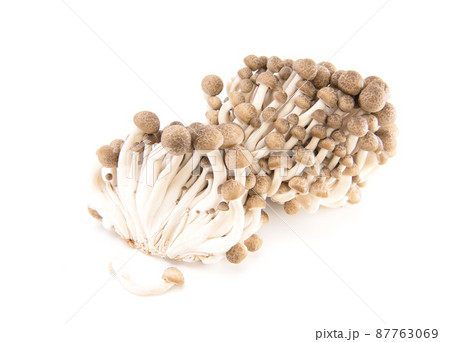 Shimeji mushroom isolated on white background Shimeji mushroom isolated on white background 87763069