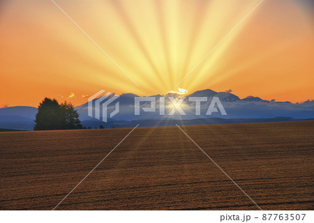 丘の町・美瑛の美しい日の出風景 丘の町・美瑛の美しい日の出風景 87763507