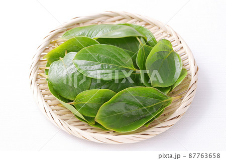 柿の葉 柿の葉 87763658