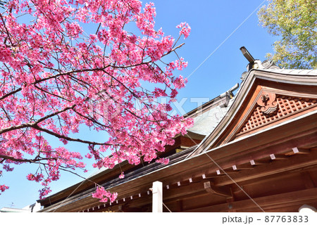 春の櫛田神社　福岡市博多区上川端町　 87763833