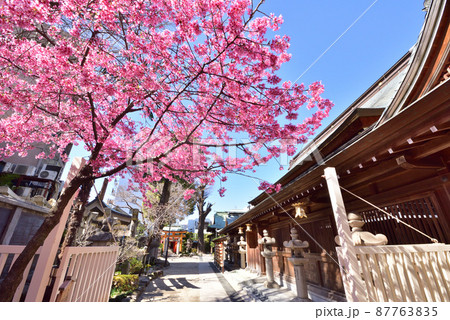 春の櫛田神社　福岡市博多区上川端町　 87763835